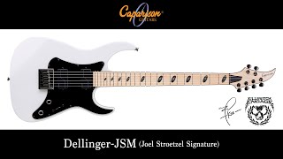 Caparison Guitars  DellingerJSM  Joel Stroetzel Killswitch Engage Signature Model [upl. by Irvine26]