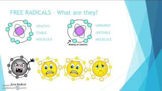 What is Oxidative Stress Free Radicals amp Antioxidants  Katie Rose [upl. by Niajneb]