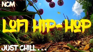 NonCopyrighted Music Chill Jazzy Lofi Hip Hop Royalty Free Jazz Hop Music [upl. by Nahem]