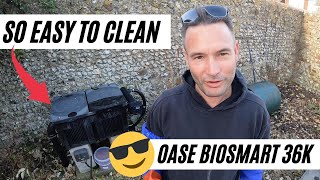 Oase Biosmart 36000  The Easiest Pond Filter To Clean [upl. by Leiva]