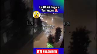 😱La DANA llega a Tarragona wow tarragona spain españa datoscuriosos datosquenosabias [upl. by Alraep]