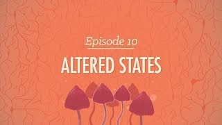 Altered States Crash Course Psychology 10 [upl. by Aket]