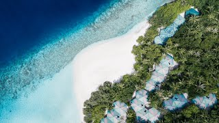 Embudu Village Maldives  The perfect tropical escape [upl. by Emanuel124]