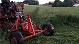 Landwirtschaft mit Pferden  Klee mähen mit Kaltblütern [upl. by Pasquale]