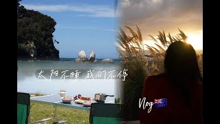 vlog🇳🇿被海豹和金灿灿的日出叫醒｜新西兰小众景点｜南岛环岛d3路线分享｜蜜月旅行 [upl. by Enimisaj801]