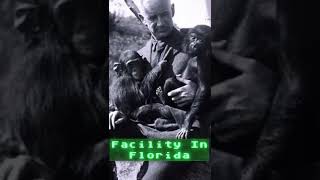 HumanAnimal Hybrids reported experiments in history part 1 scienceexperiment wtf hybrid [upl. by Eneles283]