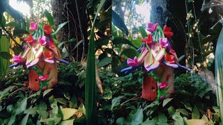 Fairy House with Clay  Super clay fairy house  Easy clay house making  Easy clay craft ideas [upl. by Aryad15]