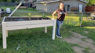 How To Build The Perfect Height Elevated Raised Bed [upl. by Laamak450]