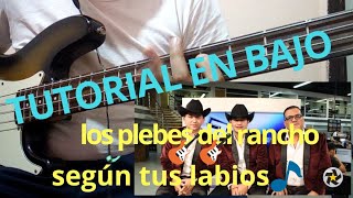 Según tus labios  Los plebes del rancho  tutorial en bajo [upl. by Nrehtac]