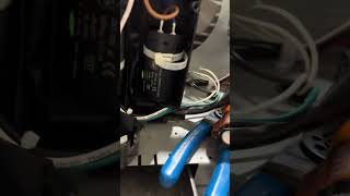 Video1 Traulsen Freezer Tripping Circuit Breaker [upl. by Gnolb]