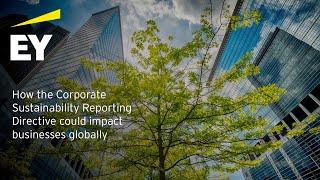 How the Corporate Sustainability Reporting Directive could impact businesses globally [upl. by Caassi]