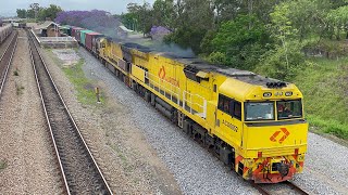 Aurizon ACD6052 amp ACD6055 with 2BM1 at East Maitland  291024 [upl. by Amie]