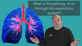 GCSE PE What is the pathway of air through the respiratory system [upl. by Anirpas67]