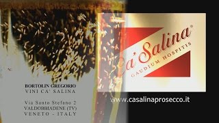 CA SALINA PROSECCO SUPERIORE VALDOBBIADENE [upl. by Kirschner]