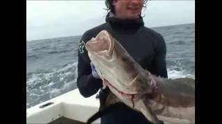 Cape Hatteras spearfishing Chasse sous marine à Cap Hatteras [upl. by Orion]