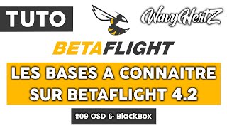 Betaflight 42  09 Onglet OSD et BlackBox [upl. by Nigel]