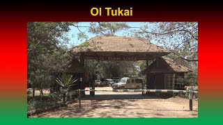 Kenia Info Ol Tukai Lodge im Amboseli Nationalpark [upl. by Hanna632]