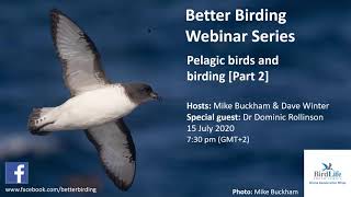 Better Birding Webinar  Pelagic birds and birding Part 2 [upl. by Assenad]