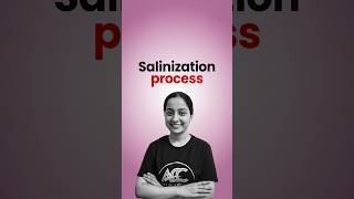 Salinization Process [upl. by Aneled]