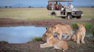 Singita Sasakwa Lodge  Serengeti Tanzania [upl. by Eneirda]