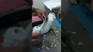 GYPSONA Plaster of Paris Bandage  Plaster Bandages how to apply and use [upl. by Faludi355]