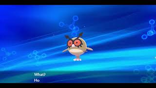 Hoothoot Evolving Into Noctowl Pokemon Sword amp Shield [upl. by Retsehc]