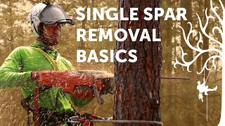 Spar removal basics  SRT tree climbing tutorial  Arborist Howto [upl. by Leventis]