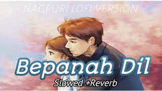 Bepanah Dil slowed x reverb sad old song nagpuri lofi version  nagpuri reverb [upl. by Thenna]