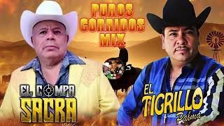 El Compa Sacra  El Tigrillo Palma 🌵 Puros Corridos Mix Para Pistear 2024 [upl. by Sevart665]