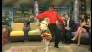 Dog dancing mambo [upl. by Dreyer47]