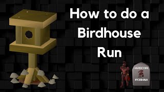 OSRS  How to do a Birdhouse Run from Fossil Islands rowboat teleport using mushrooms [upl. by Bortman]