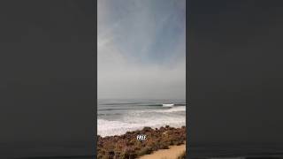 Amtrak Surfliner has the best view of the Pacific Ocean to San Diego [upl. by Jamila]