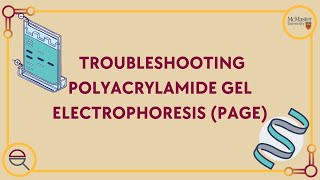 Troubleshooting Polyacrylamide Gel Electrophoresis PAGE [upl. by Onivla695]