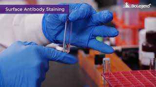 Surface and Intracellular Cytokine Staining for Flow Cytometry [upl. by Anesor772]