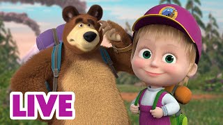 🔴 LIVE 🐻👧 Masha y el Oso 🏕️🎒 De viaje con Oso 🎬 Masha and the Bear [upl. by Danczyk]