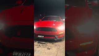 GT350🔥😮‍💨 sportscar automobile americanmuscle edit shorts [upl. by Ettegirb660]