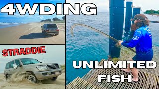 V8 Landcruiser takes on Stradbroke Island  SO MANY FISH [upl. by Nilat]