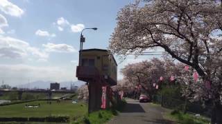 Yokkaichi Mie Ken Sakura 四日市 三重県 日本 I Japão a terra do sol nascente [upl. by Care]