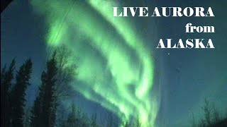 LIVE Alaska Aurora Live Stream Sep Nov 910 2024 [upl. by Ynned]