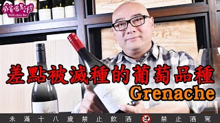 差點被滅種的葡萄品種——Grenache【威爸喝果汁 Wills Juice Bar 72】 [upl. by Nelyahs]