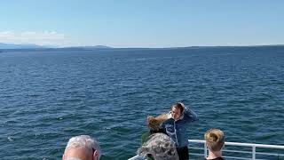 Riding the Puget Sound Express out to go whale watching [upl. by Lissner]