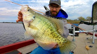 CRAZY TACTIC for TROPHY CRAPPIE [upl. by Timothea]