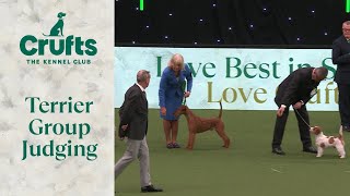 Terrier Group Judging  Crufts 2024 [upl. by Eikin]