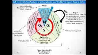 ANTI CANCER PHARMACOLOGY [upl. by Katherin]