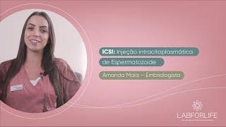 ICSI  Injeção Intracitoplasmática de Espermatozoide [upl. by Mcgaw]