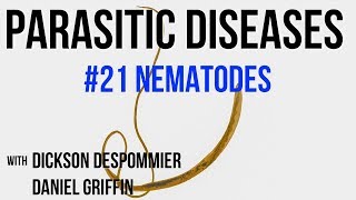 Parasitic Diseases Lectures 21 Nematodes [upl. by Suoirred886]