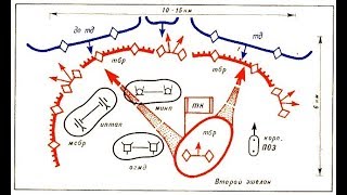 Индикатор тактики и стратегии RSI и объемная цена Трейдинг криптовалюты биткоин [upl. by Nirre917]