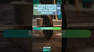 Targeting the Erector Spinae Muscles  Fitness Trivia [upl. by Gaeta104]