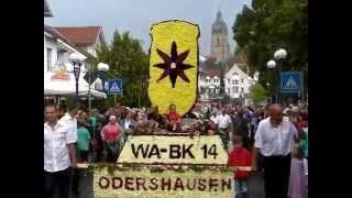 Blumenkorso in Bad Wildungen 17 Motivwagen und 20000 Zuschauer [upl. by Yelwar546]