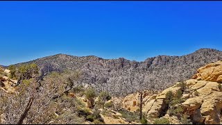 Rainbow Mountains Upper Crest Ridgeline  Rainbow Mountain Wilderness Nevada [upl. by Tamara58]